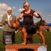 sept-2008-dog-show-photo-right-at-6mos.jpg