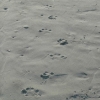 6-months-foot-prints-in-the-sand.jpg