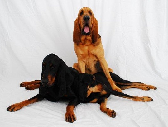 with his best friends - Boomer (left) & Caroline (right) - June 2011